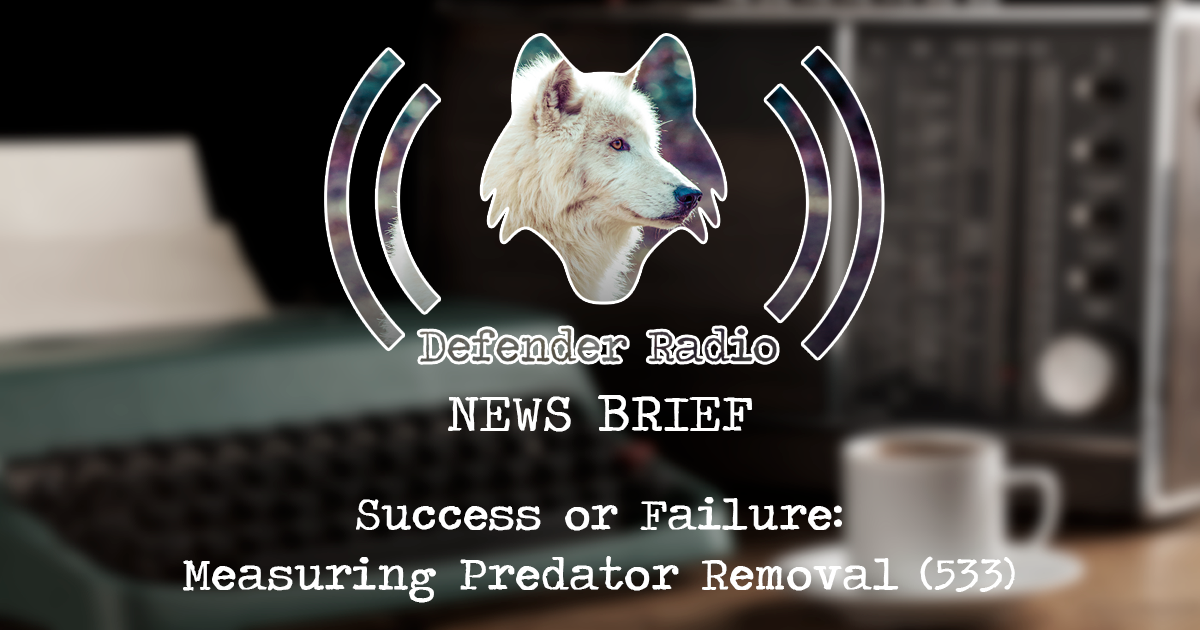 Defender Radio Podcast NEWS BRIEF - 533: Success or Failure: Measuring Predator Removal