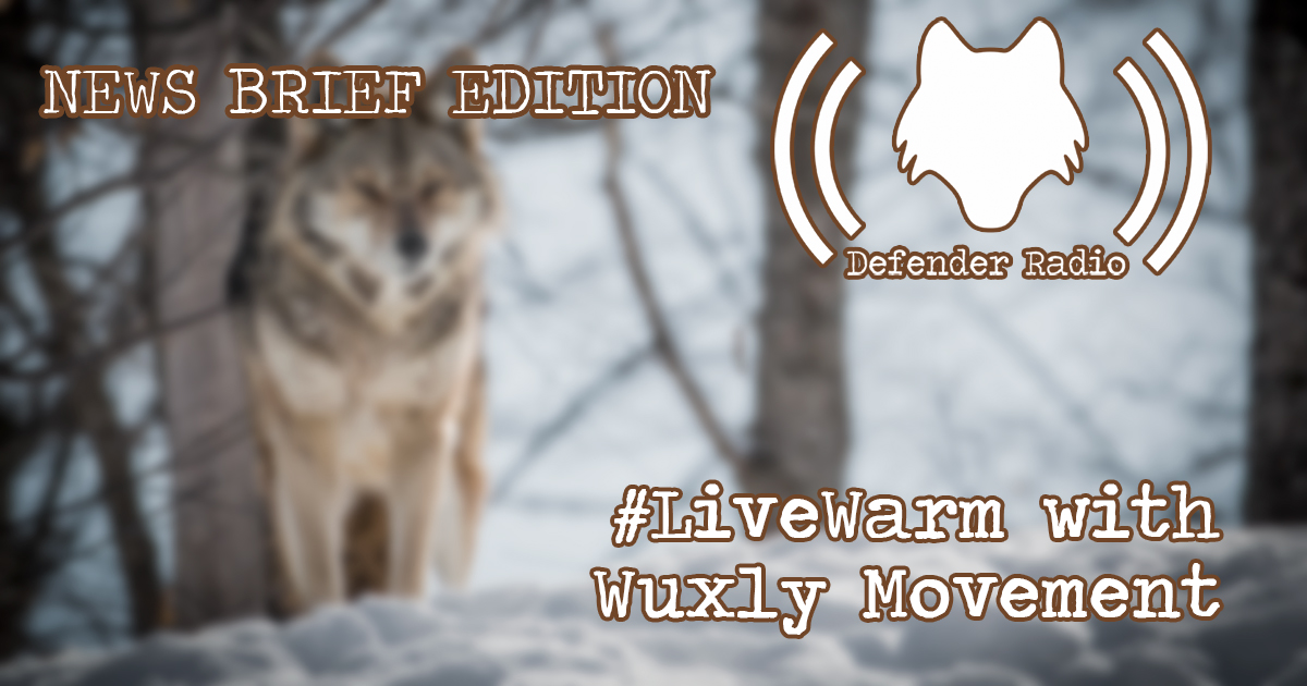 Defender Radio Podcast 602: #StayWarm With Wuxly Movement (NEWS BRIEF EDITION)
