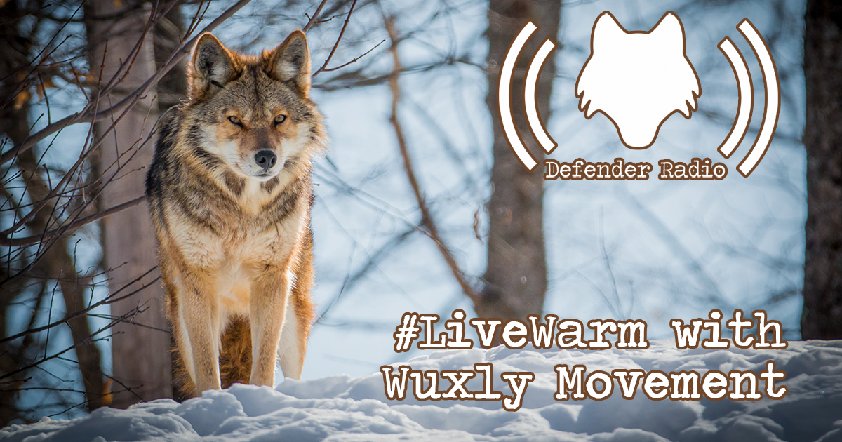 Defender Radio Podcast 602: #StayWarm With Wuxly Movement