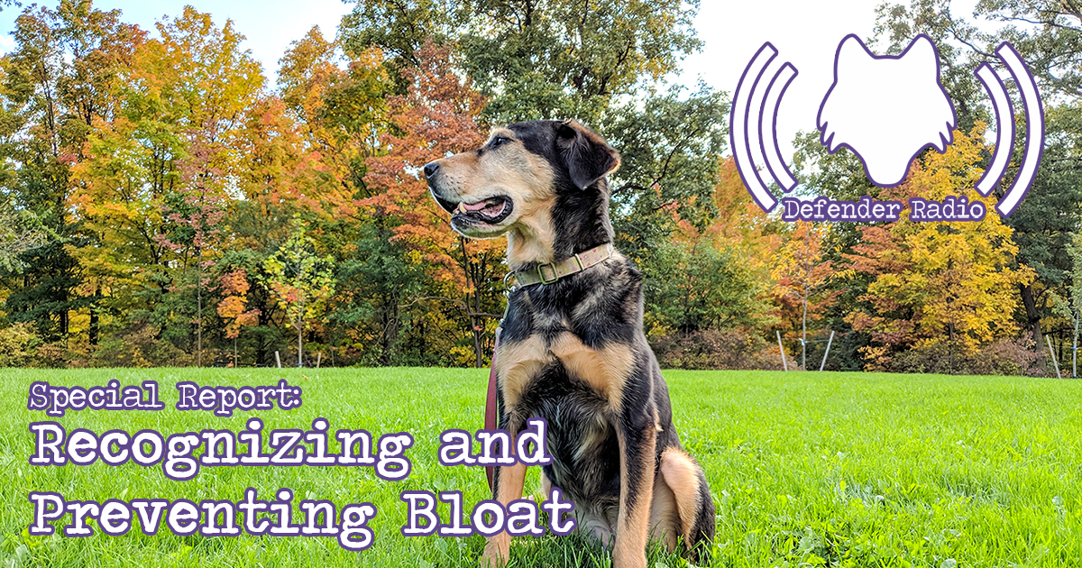Defender Radio Podcast Special Report: Recognizing and Preventing Bloat