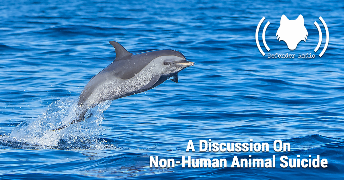 Defender Radio Podcast A Discussion On Non-Human Animal Suicide
