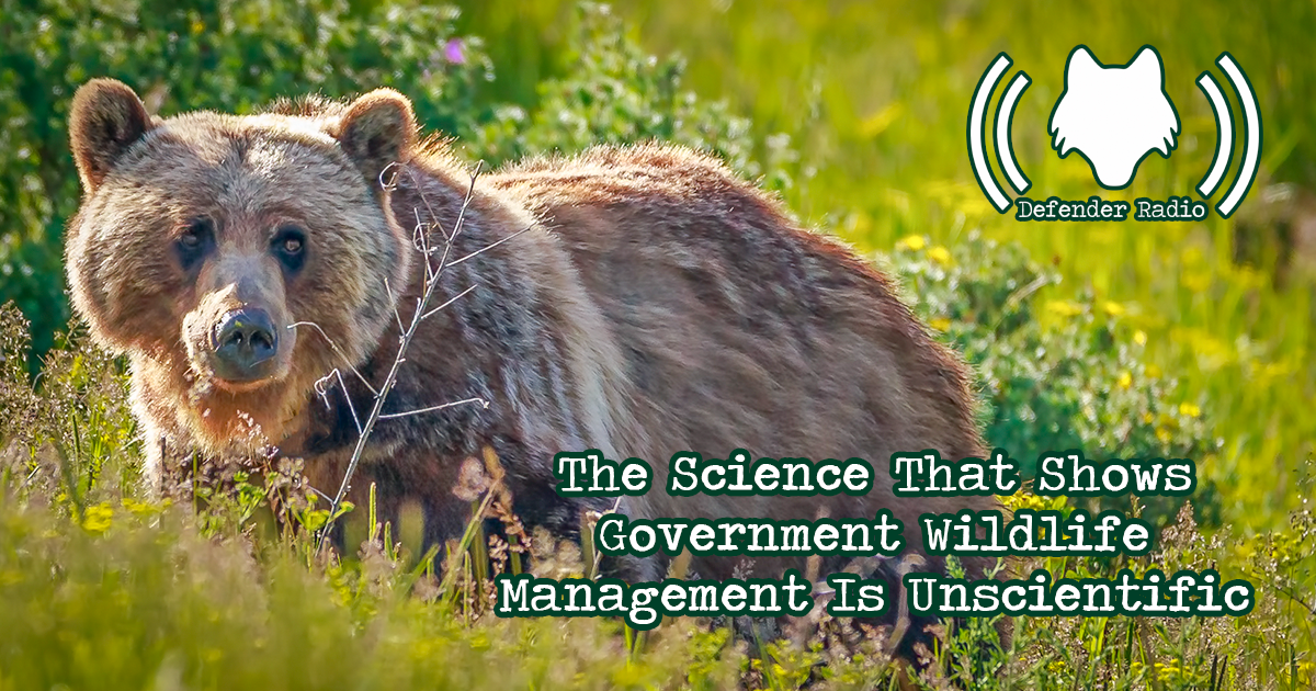 Defender Radio Podcast The Science That Shows Government Wildlife Management Is Unscientific (520)