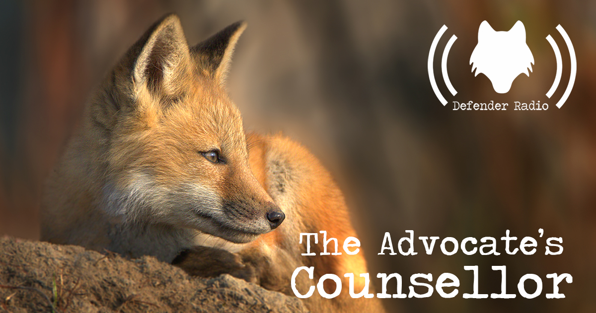 Defender Radio Podcast 603: The Advocate's Counsellor