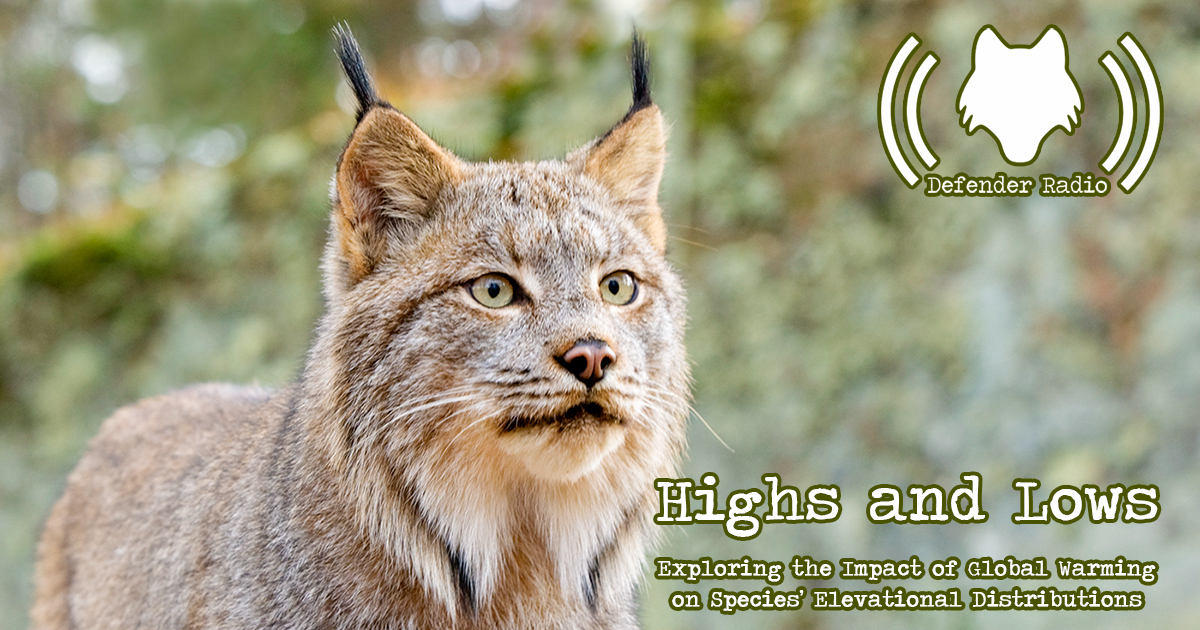 Defender Radio 604: Highs and Lows: Exploring the Impacts of Global Warming on Species’ Elevational Distributions