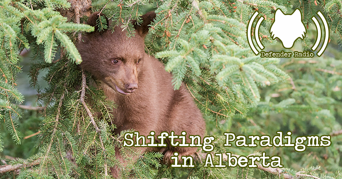 Defender Radio Podcast Shifting Paradigms in Alberta