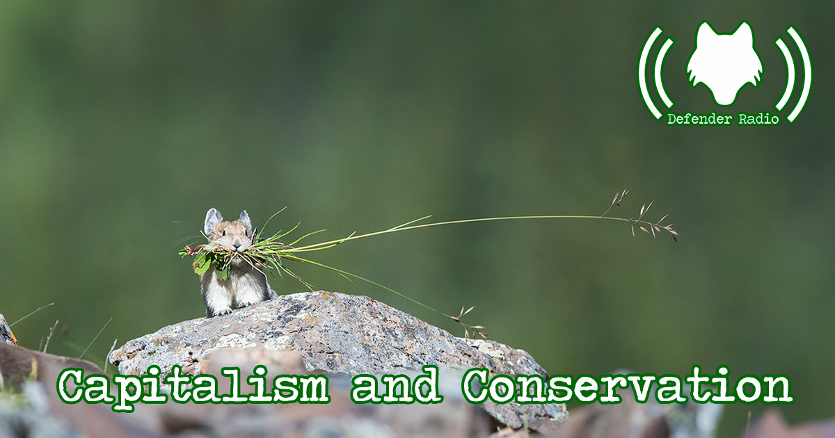 Defender Radio Podcast 608 Capitalism and Conservation