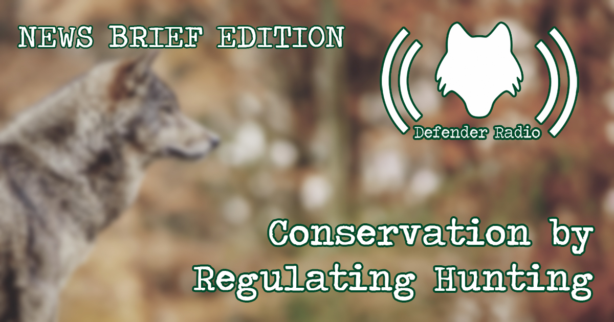 Defender Radio 601 - Conservation By Regulating Hunting (NEWS BRIEF EDITION)