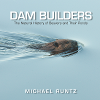Michael Runtz Dam Builders