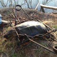 Snapping Turtle Trap