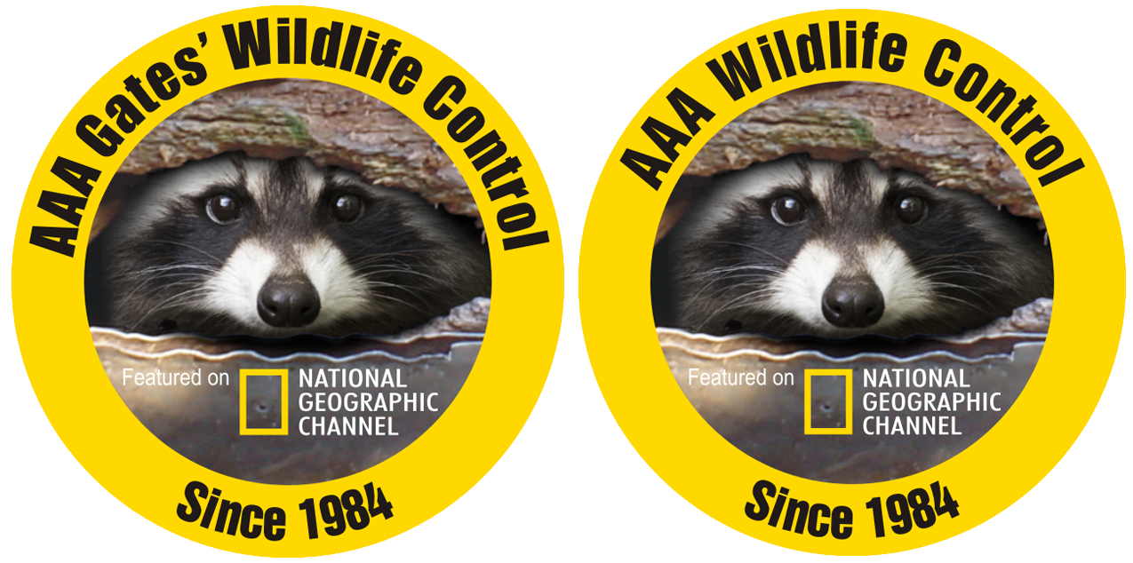 AAA Wildlife Control in Toronto and Vancouver