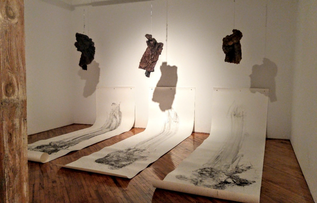 An image of Jill Price's Material Shadows installation