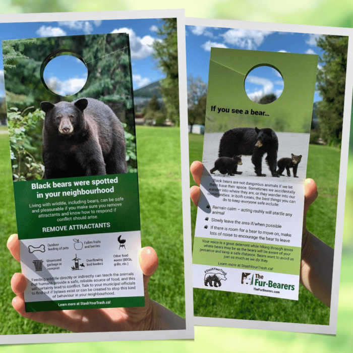 A photo showing the double-sided bear coexistence doorhanger offered by The Fur-Bearers