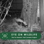 Eye on Wildlife: Good fences make good neighbours, sort of