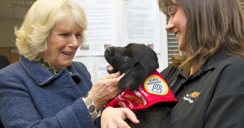 Queen Camilla greets a puppy