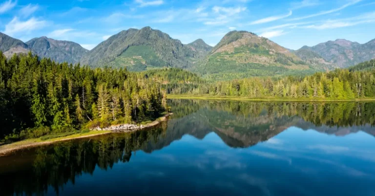 An aerial view of Vancouver Island