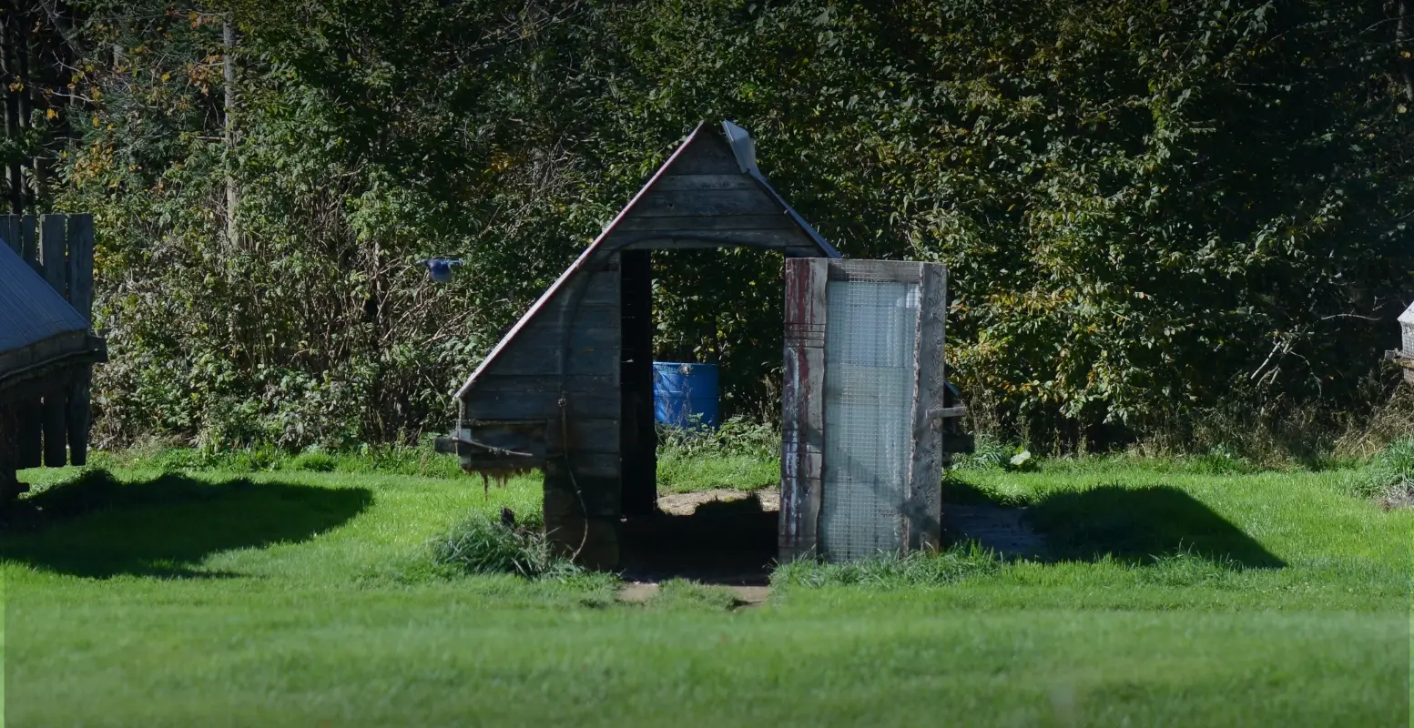 A picture showing empty fur farm sheds on a Nova Scotia fur farm.