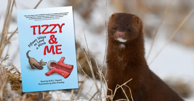 A picture showing the cover of Tizzy and Me and a photograph of a mink