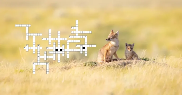 A crossword puzzle superimposed on a photo of Swift foxes.