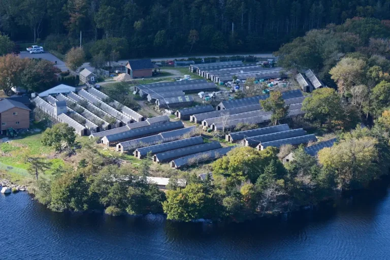 An aerial photo of a fur farm