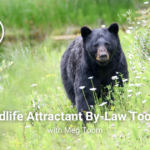 Wildlife Attractant By-Law Toolkit