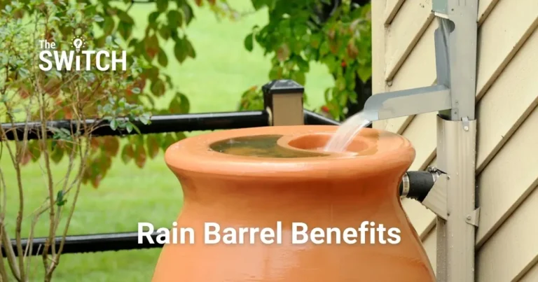 An image showing a rain barrel with the Switch logo on it