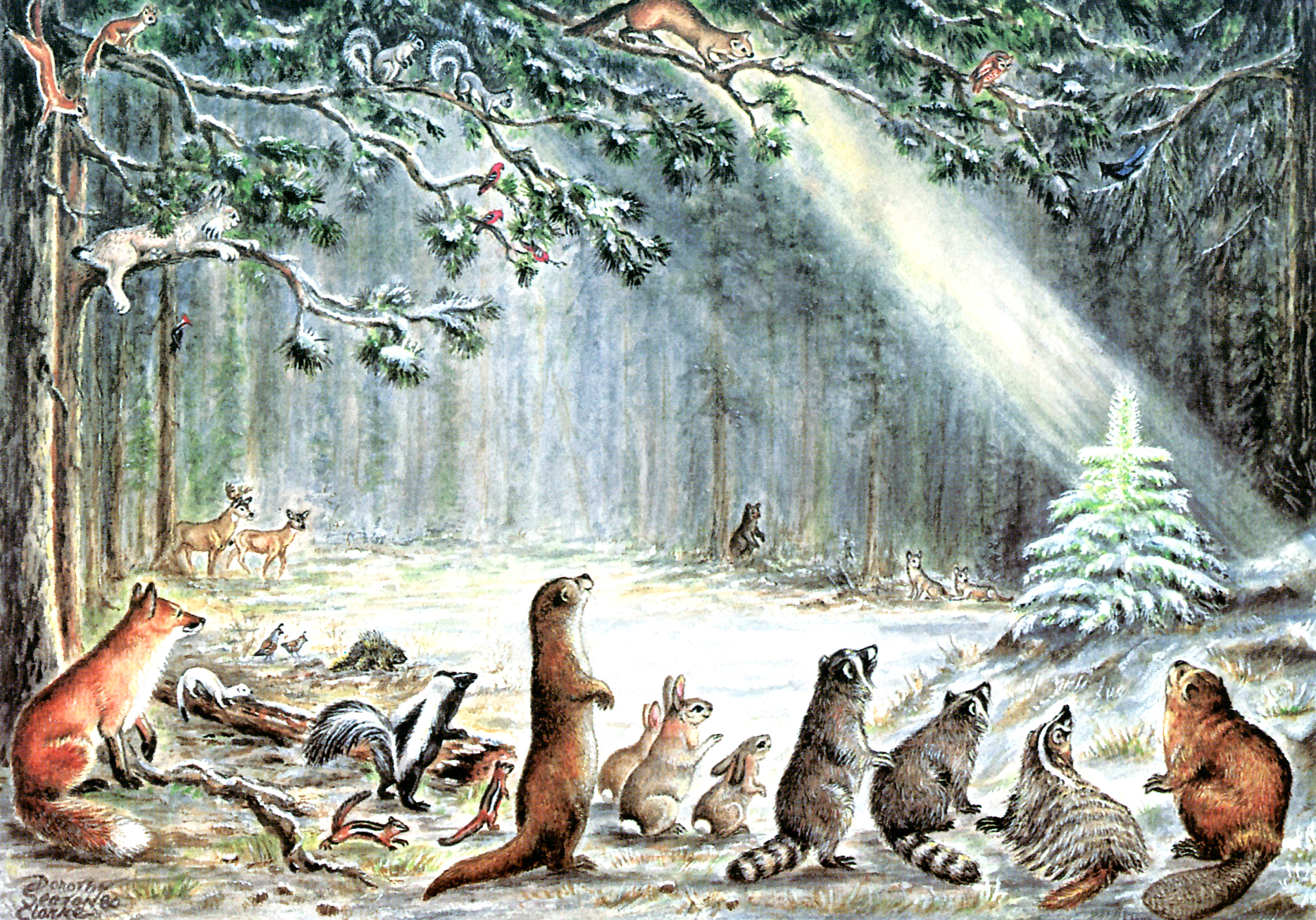 A Brief History: Christmas Tree For The Animals