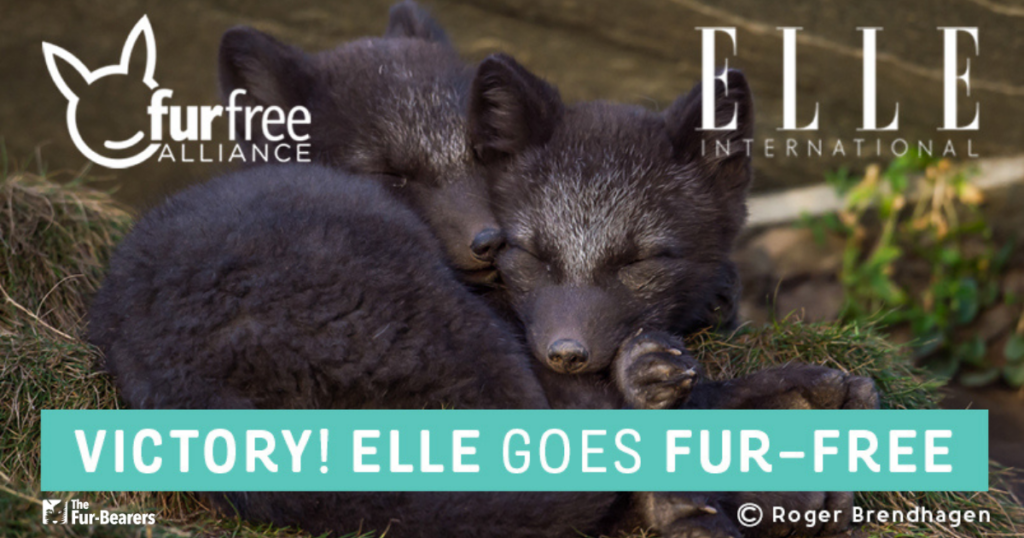 ELLE Magazine becomes first global fashion mag to go fur-free!