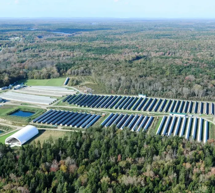 An aerial image showing a large fur farm in Nova Scotia. Numerous sheds can be seen.