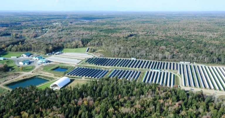 An aerial image showing a large fur farm in Nova Scotia. Numerous sheds can be seen.