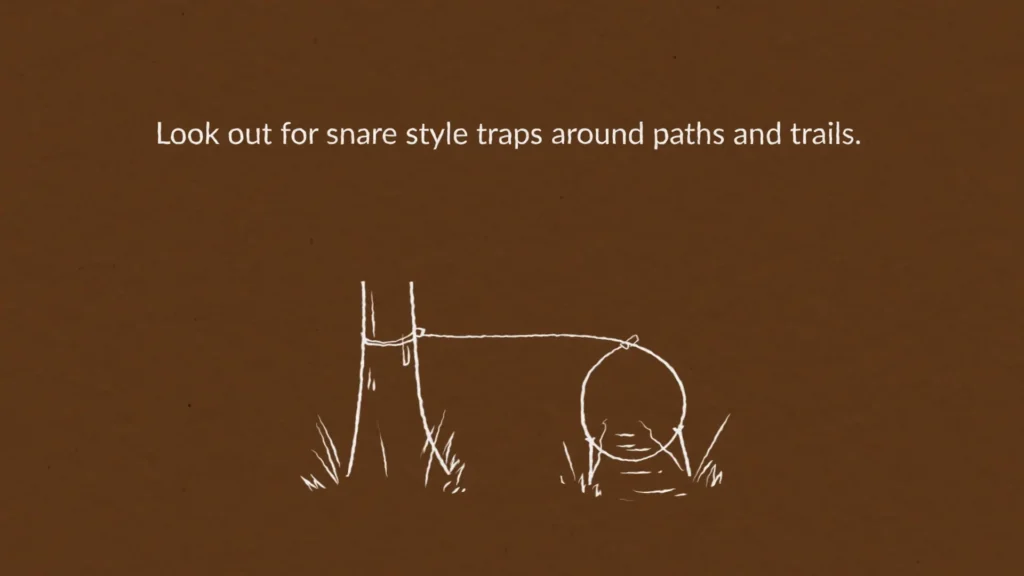 Trapping Snares - How Do You Use One?