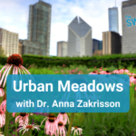 The Switch: Urban Meadows with Dr. Anna Zakrisson