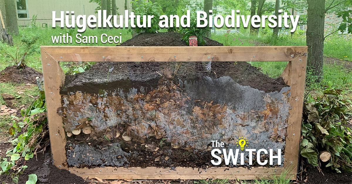 The Switch: Hügelkultur and Biodiversity with Sam Ceci