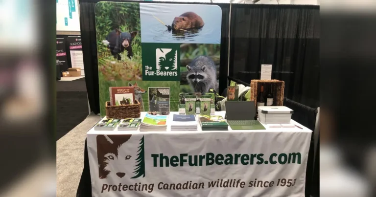 A picture showing The Fur-Bearers' booth at hte Union of BC Municipalities convention in 2024.