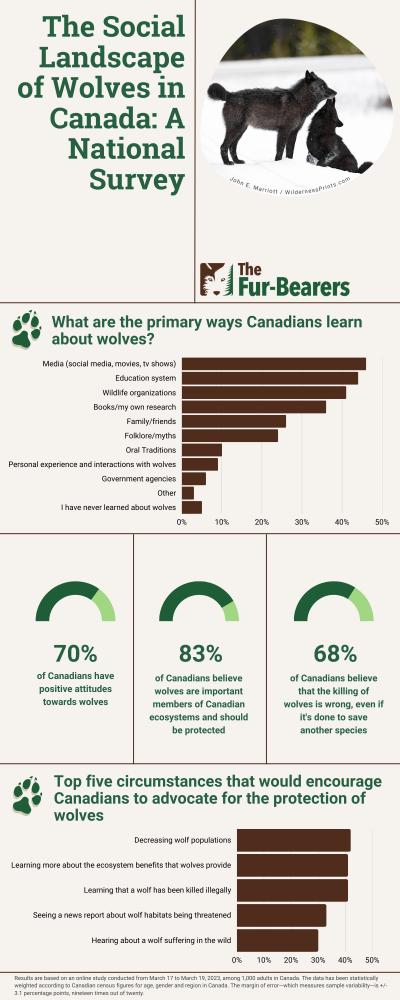 The Fur-Bearers - Canada Wolf Survey Infographic