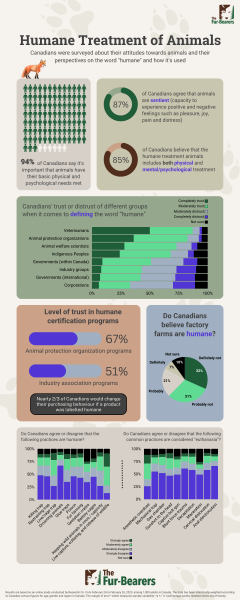 The Fur-Bearers - Humane Survey Infographic